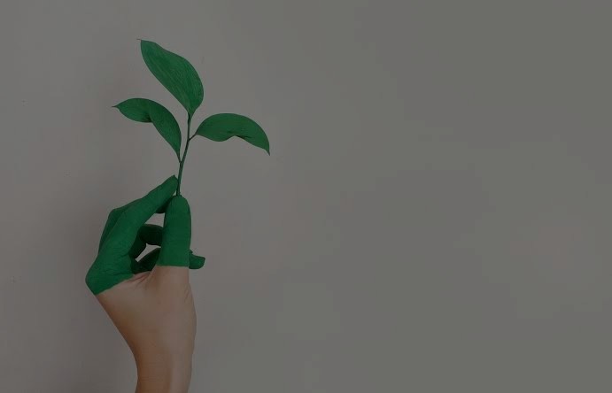 Projetos de sustentabilidade