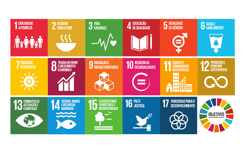 Objetivos da Onu