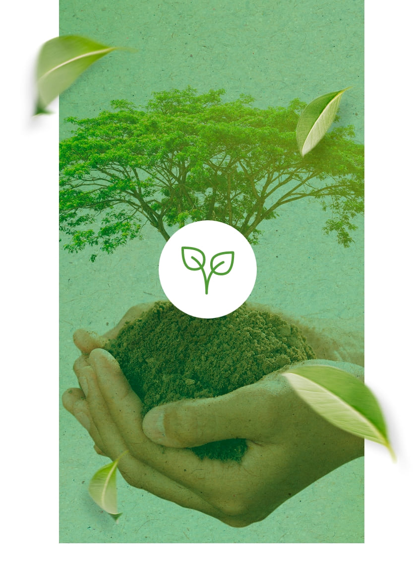 Sustentabilidade